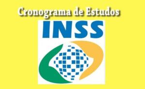 Cronograma de Estudos Concurso do INSS 2019