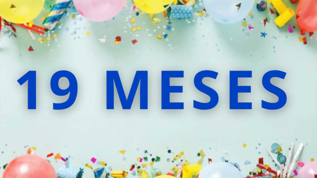 19 meses são quantos anos