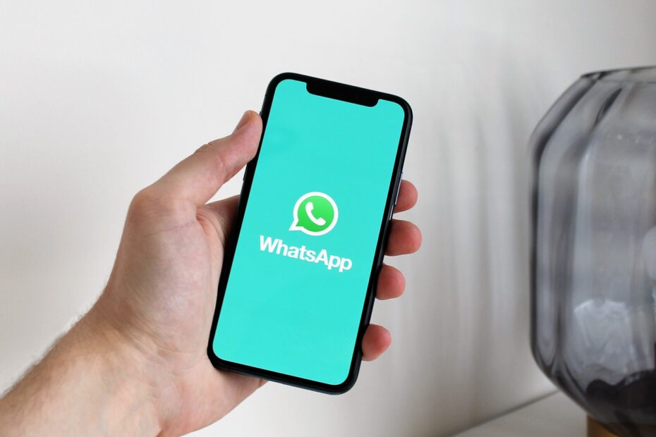 Como as vendas automatizadas com WhatsApp Business podem aumentar seu faturamento